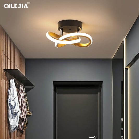 Modern Minimalist LED ceiling light